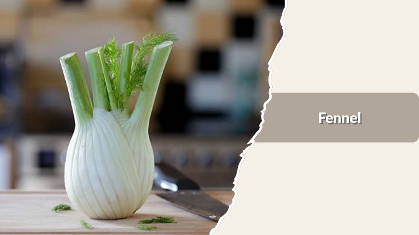 Fennel