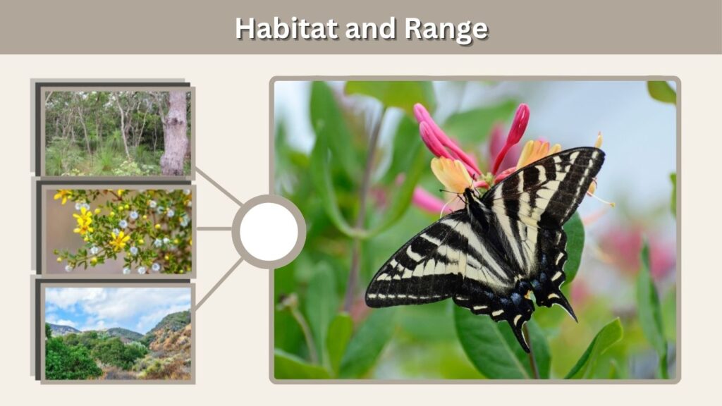 Habitat and Range